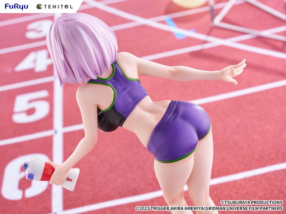 Gridman Universe Tenitol Tall PVC Figur Akane Shinjo Sportswear Ver. 28 cm