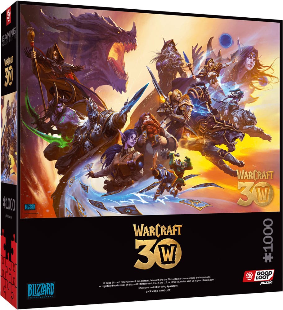 World of Warcraft Puzzle 30th Anniversary (1000 Teile)                                