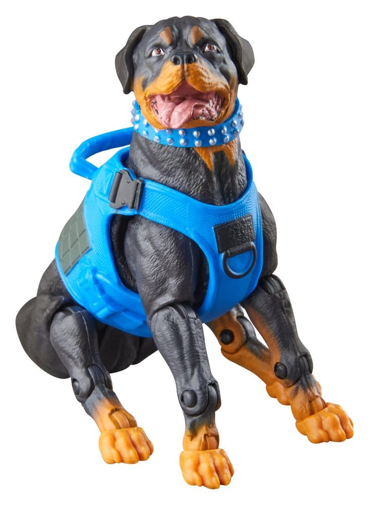 G.I. Joe Classified Series Actionfiguren 3er-Pack #220 Mad Marauders: Footloose & Mutt & Junkyard 15 cm