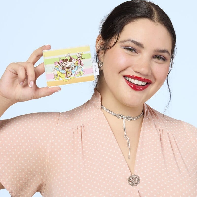 Disney by Loungefly Karten-Etui Mickey and Friends Rainbow Stripes