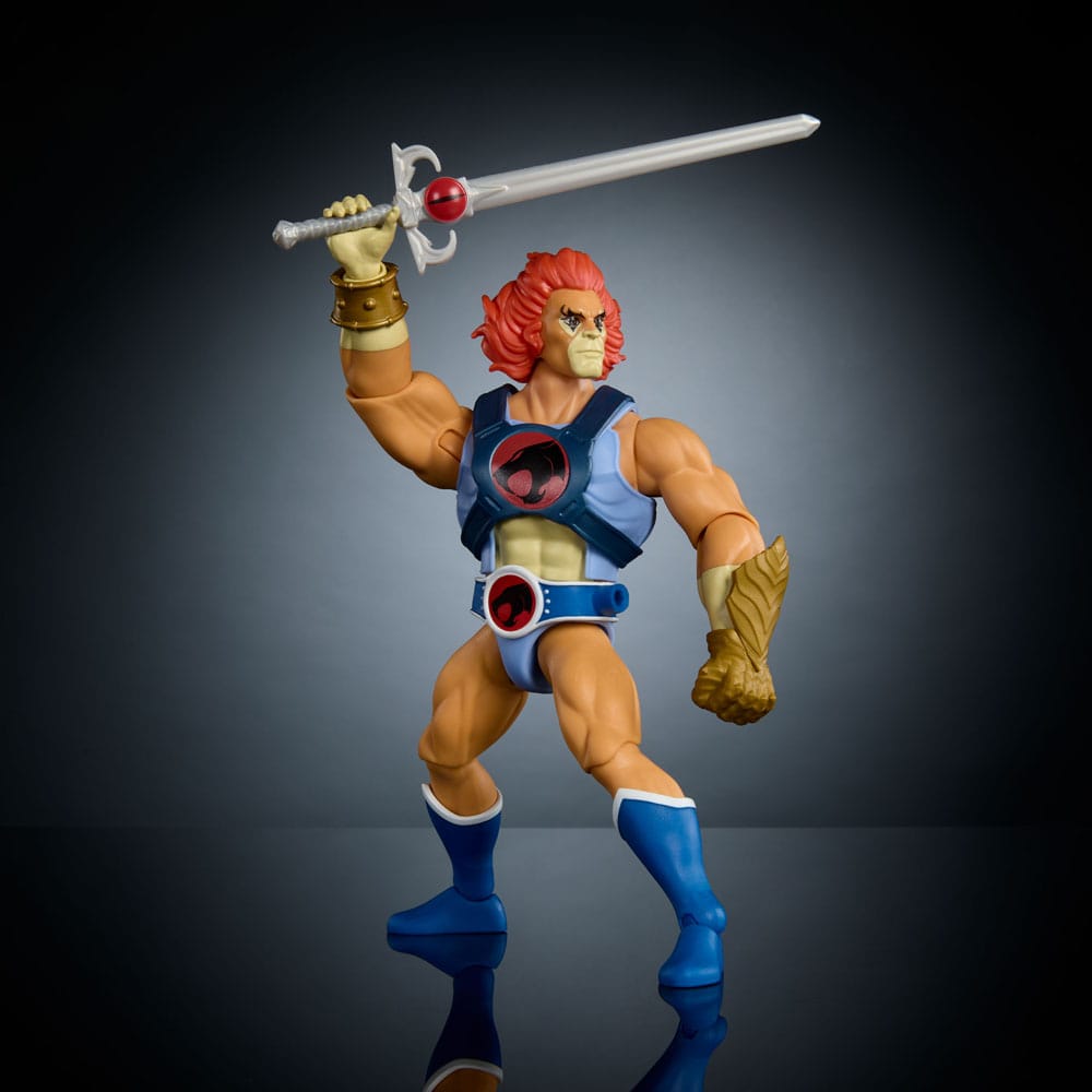 Masters of the Universe x ThunderCats Actionfigur Lion-O 14 cm