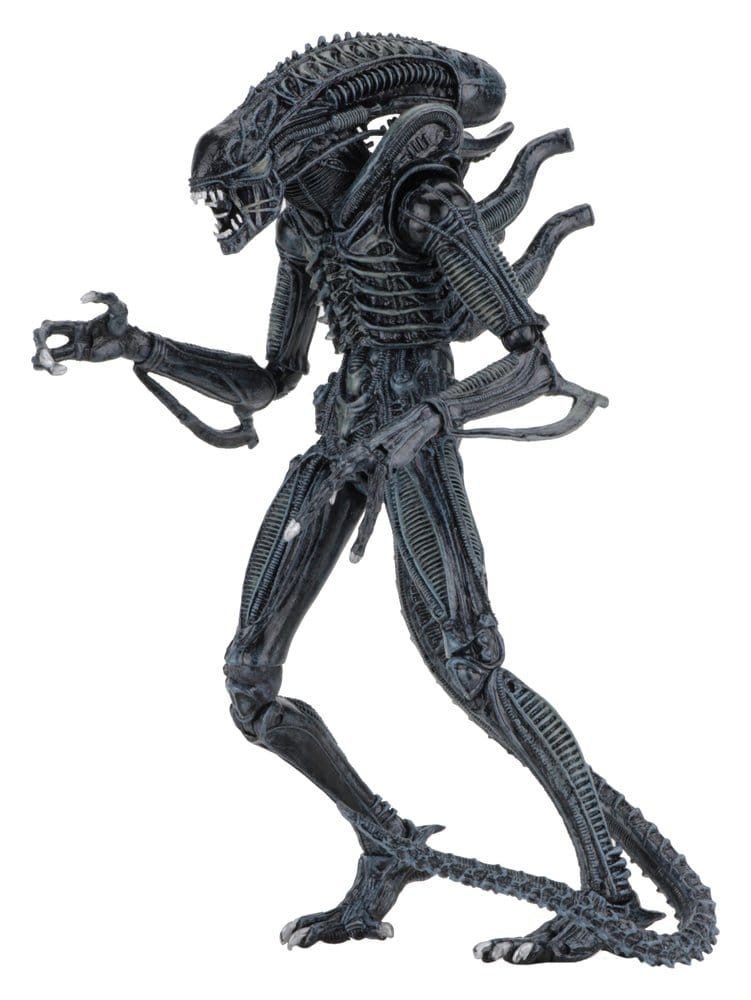 Aliens Ultimate Actionfigur Warrior (1986) Blue 23 cm