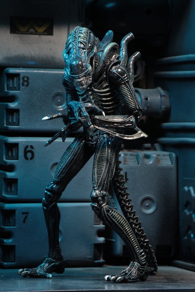 Aliens Ultimate Actionfigur Warrior (1986) Blue 23 cm