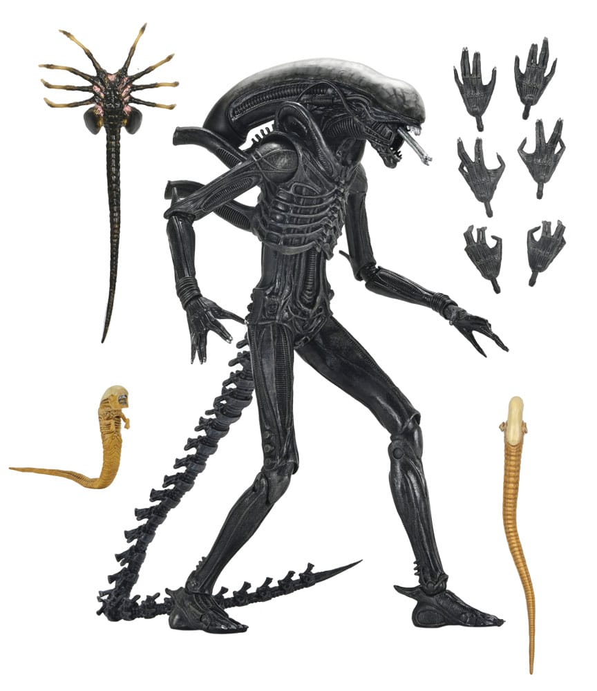 Alien: Romulus Actionfigur Ultimate Xenomorph XX121 18 cm