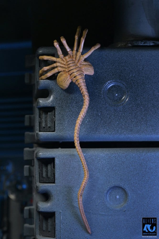 Aliens Ultimate Actionfigur Warrior (1986) Xenomorph Black (40th Anniversary) 23 cm