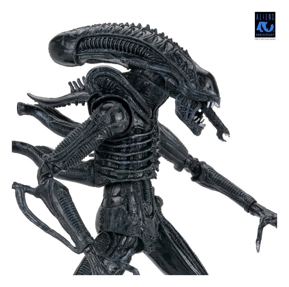 Aliens Ultimate Actionfigur Warrior (1986) Xenomorph Black (40th Anniversary) 23 cm
