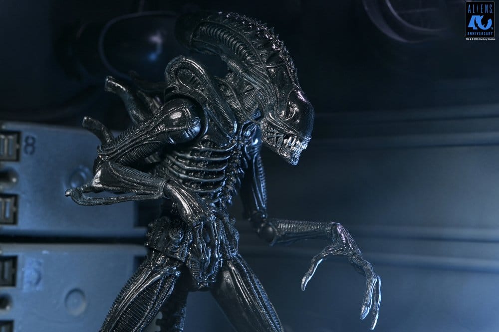 Aliens Ultimate Actionfigur Warrior (1986) Xenomorph Black (40th Anniversary) 23 cm