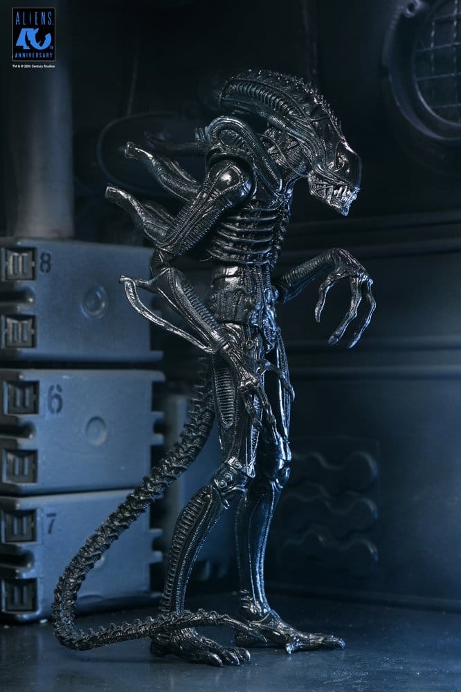 Aliens Ultimate Actionfigur Warrior (1986) Xenomorph Black (40th Anniversary) 23 cm