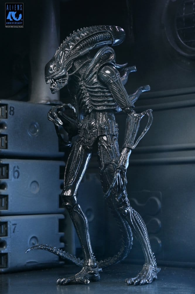 Aliens Ultimate Actionfigur Warrior (1986) Xenomorph Black (40th Anniversary) 23 cm
