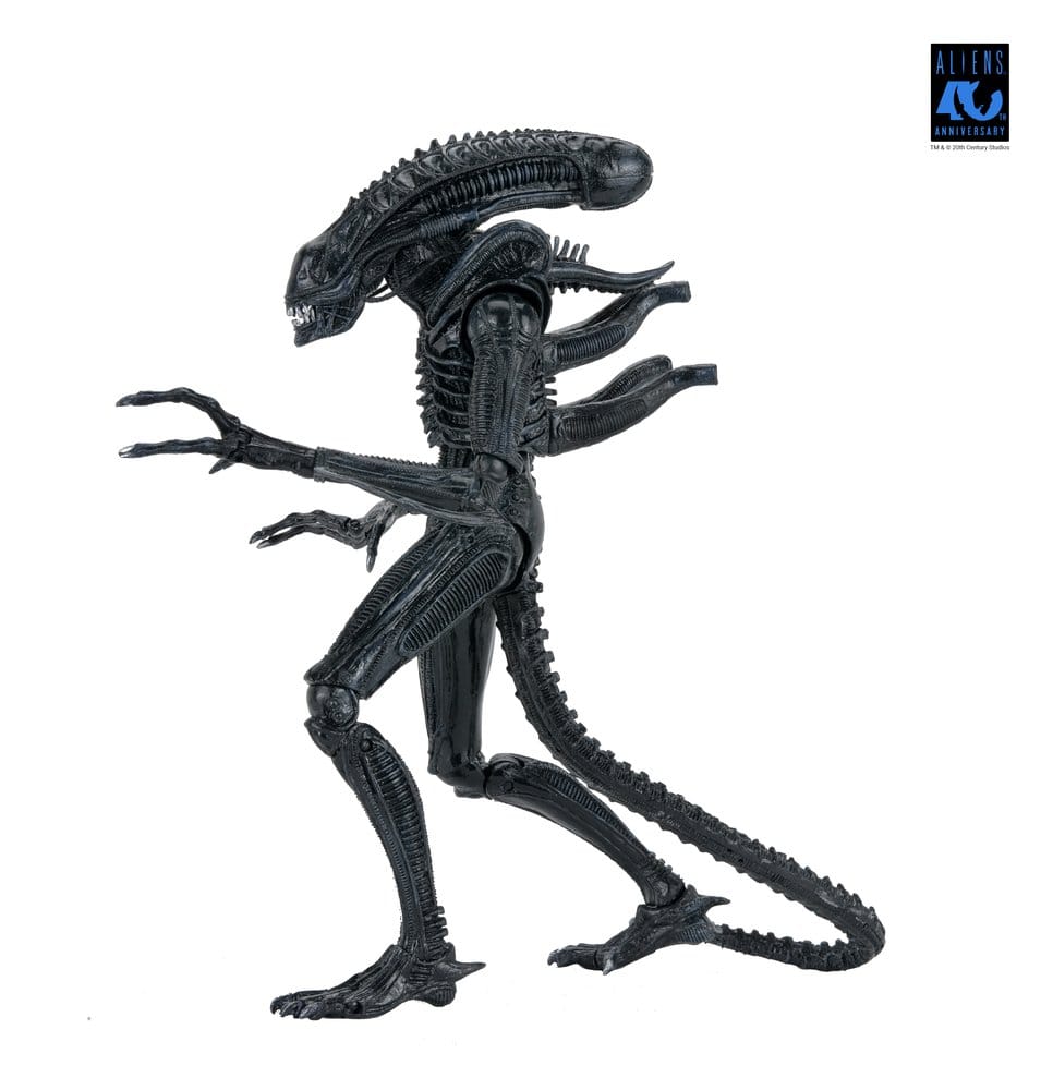 Aliens Ultimate Actionfigur Warrior (1986) Xenomorph Black (40th Anniversary) 23 cm