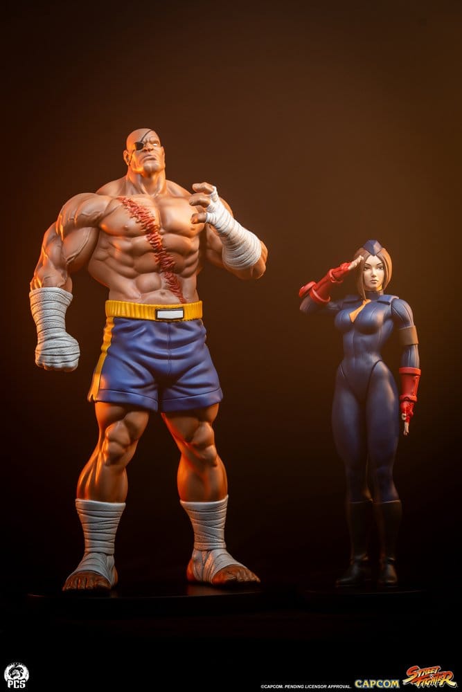 Street Fighter Street Jam Statuen 1/10 Sagat & Juli 24 cm 