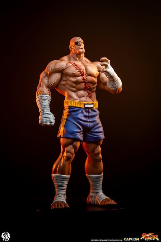 Street Fighter Street Jam Statuen 1/10 Sagat & Juli 24 cm 