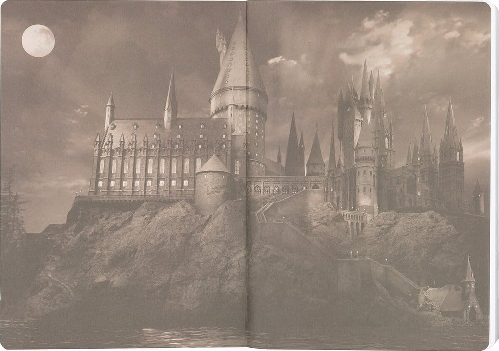 Harry Potter Softcover Notizbuch Gryffindor 21 cm