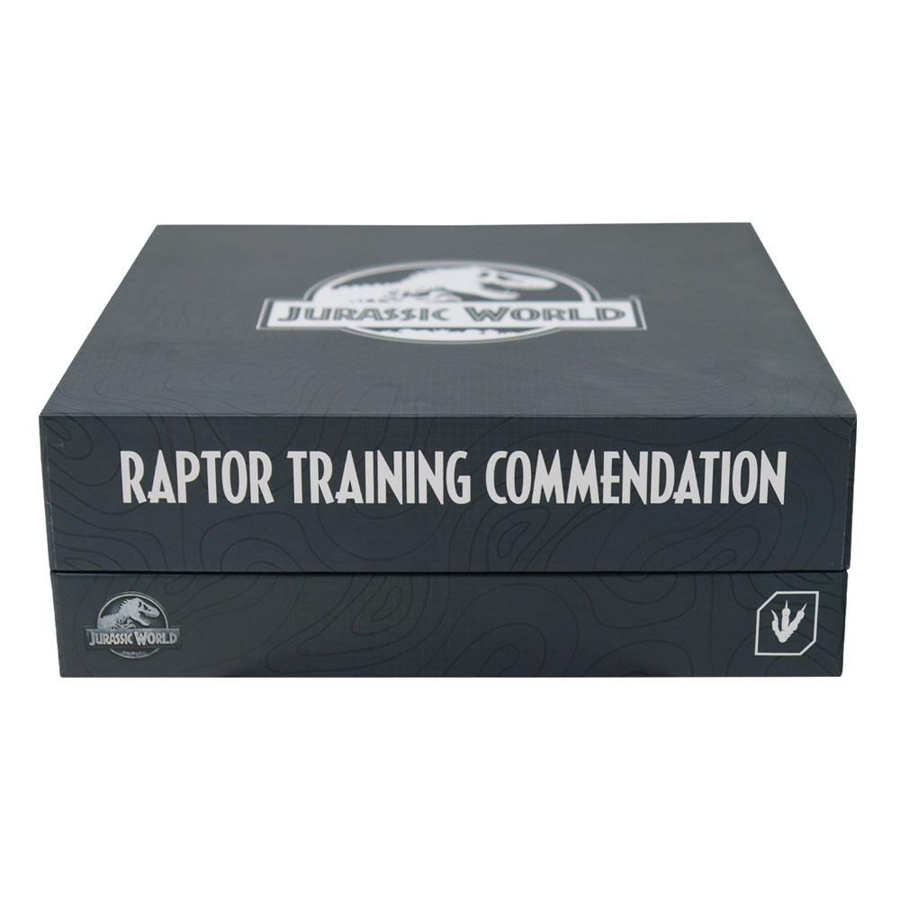Jurassic World Ansteck-Pin 3er-Pack Raptor Training Commendation Limited Edition