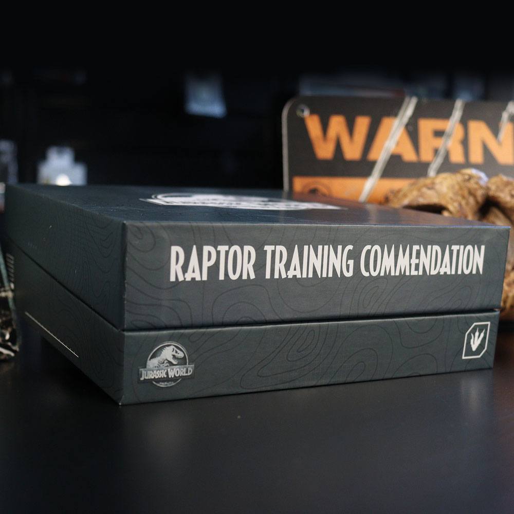 Jurassic World Ansteck-Pin 3er-Pack Raptor Training Commendation Limited Edition