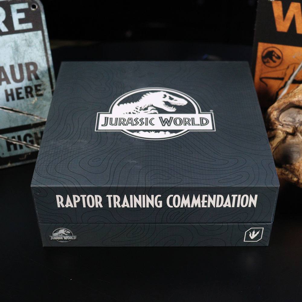 Jurassic World Ansteck-Pin 3er-Pack Raptor Training Commendation Limited Edition