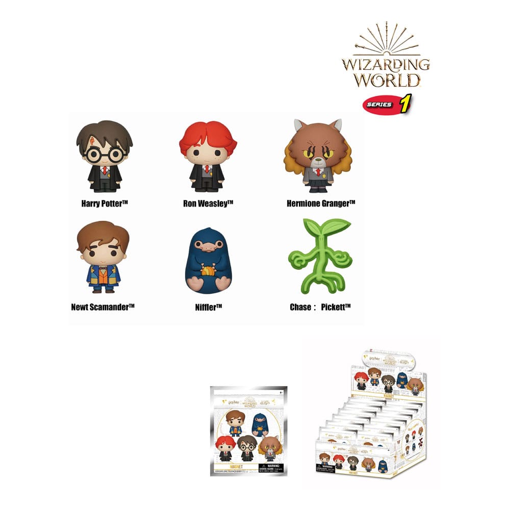 Wizarding World Relief-Magnete Series 1 Display (12)