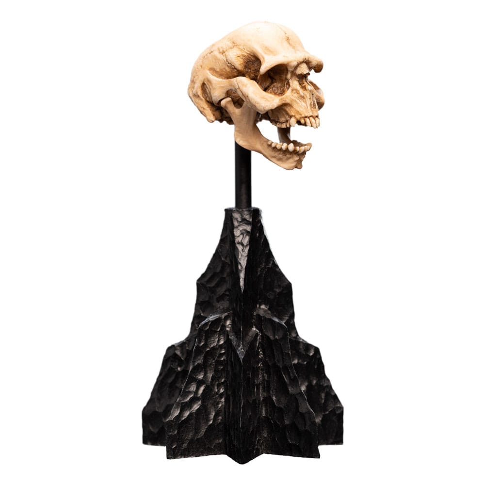 Herr der Ringe Mini Statue Skull of a Moria Orc 13 cm