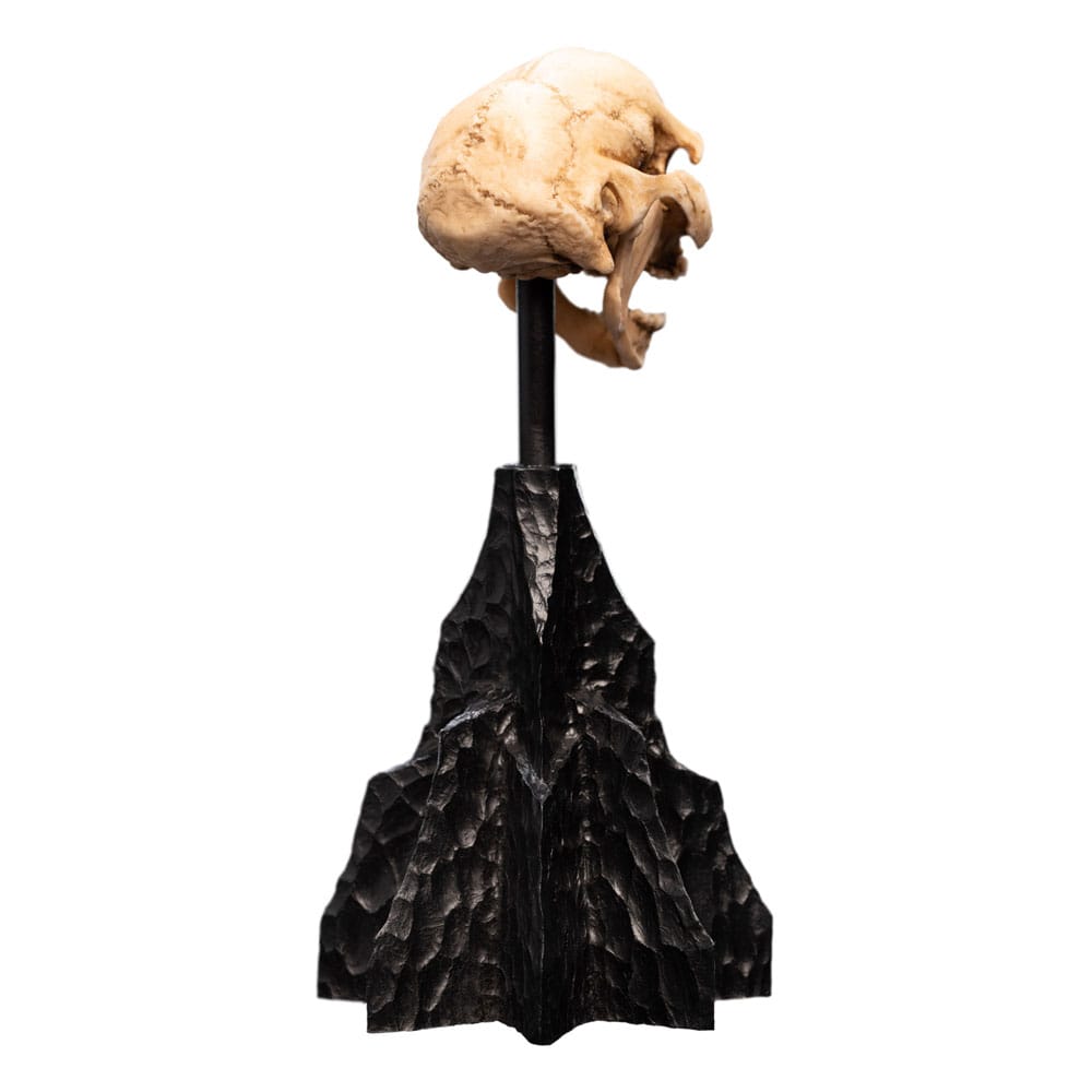 Herr der Ringe Mini Statue Skull of a Moria Orc 13 cm