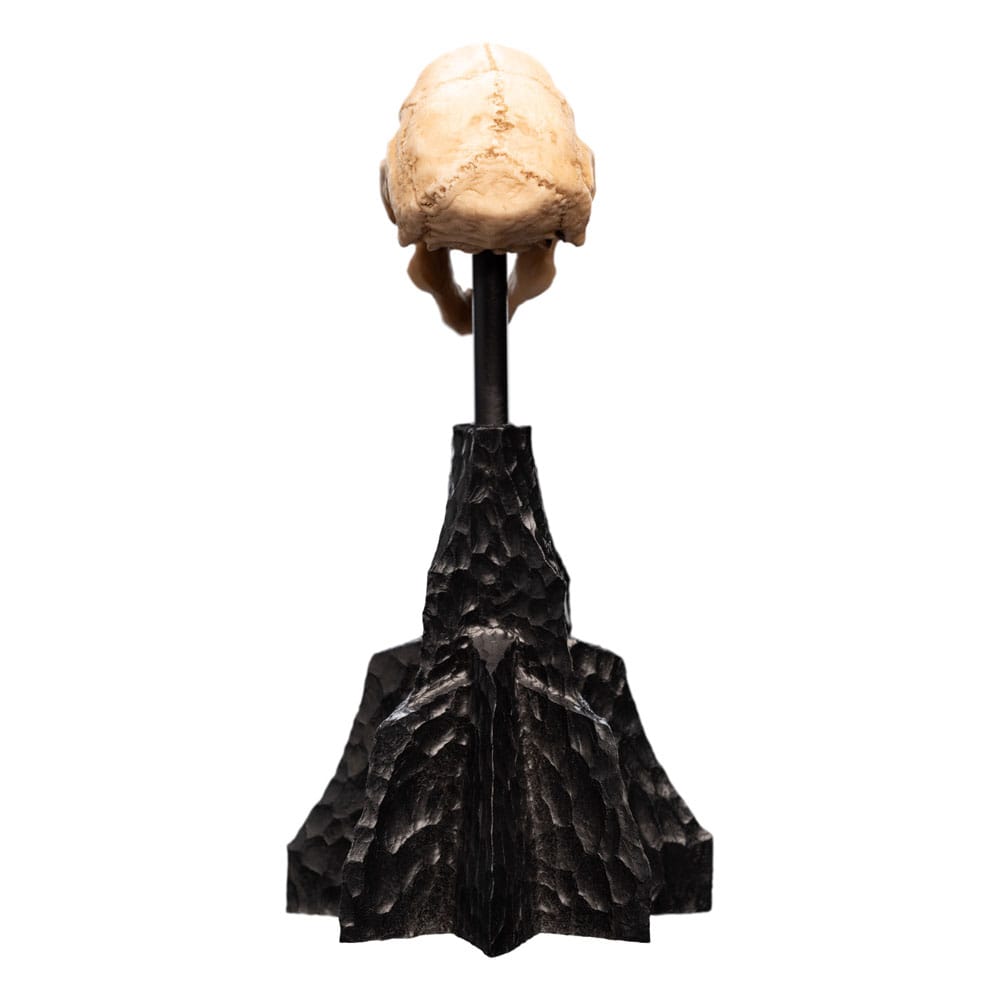 Herr der Ringe Mini Statue Skull of a Moria Orc 13 cm