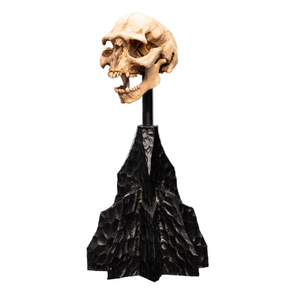 Herr der Ringe Mini Statue Skull of a Moria Orc 13 cm