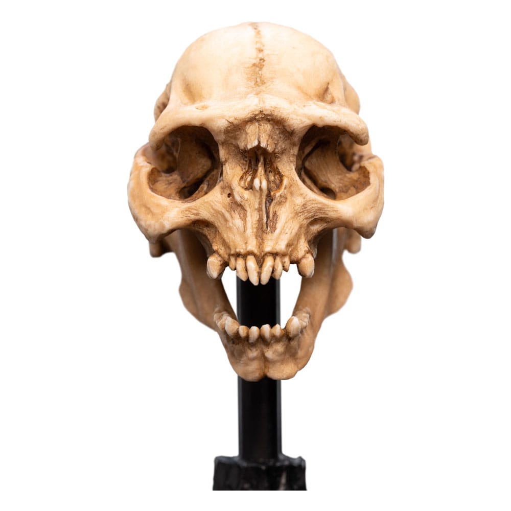 Herr der Ringe Mini Statue Skull of a Moria Orc 13 cm