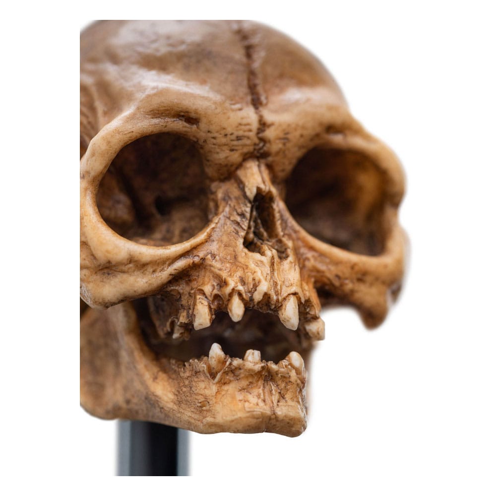 Herr der Ringe Mini Statue Skull of Gollum 13 cm
