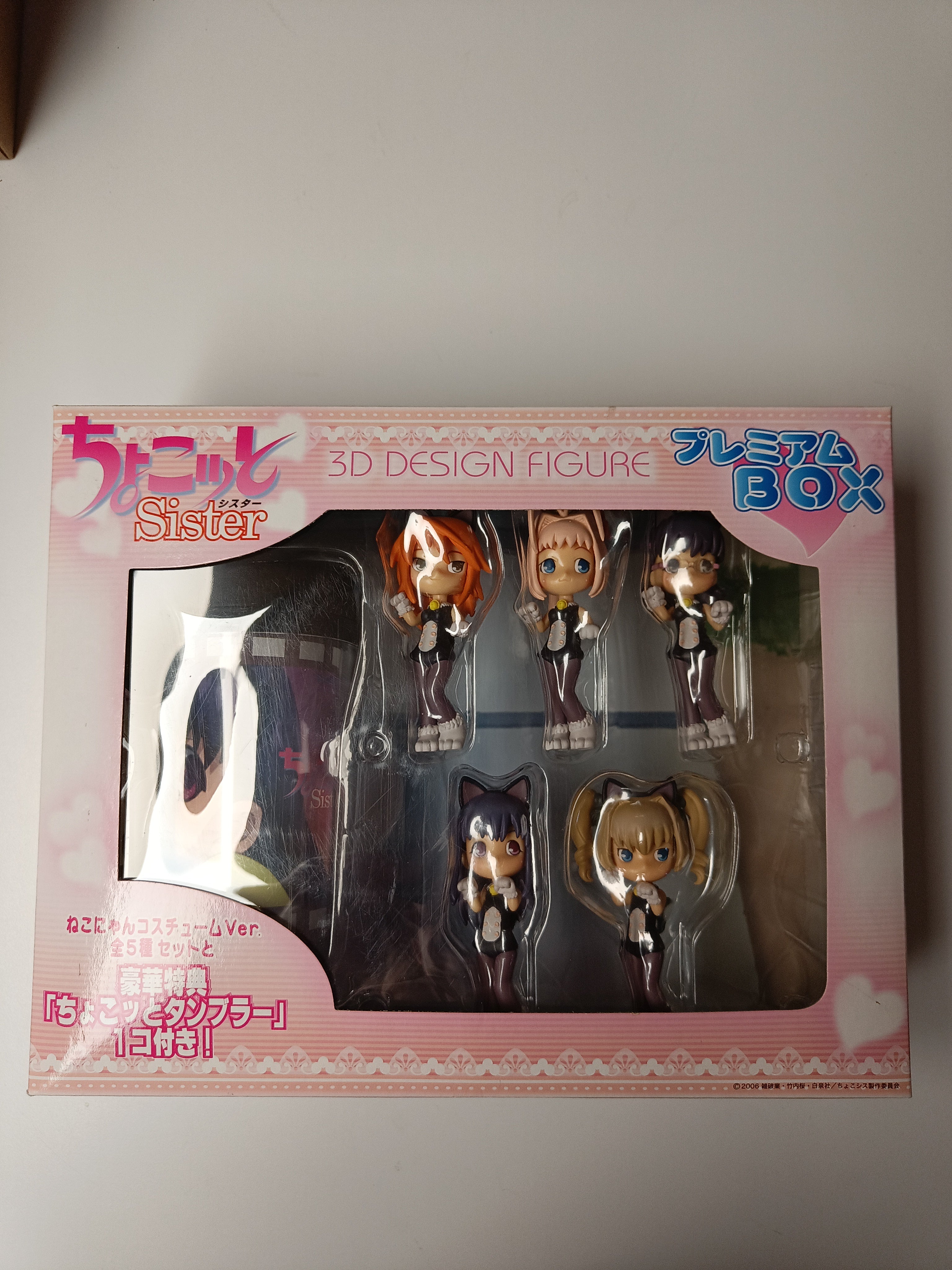 3D Design Figure Chokkoto Sister Premium Box