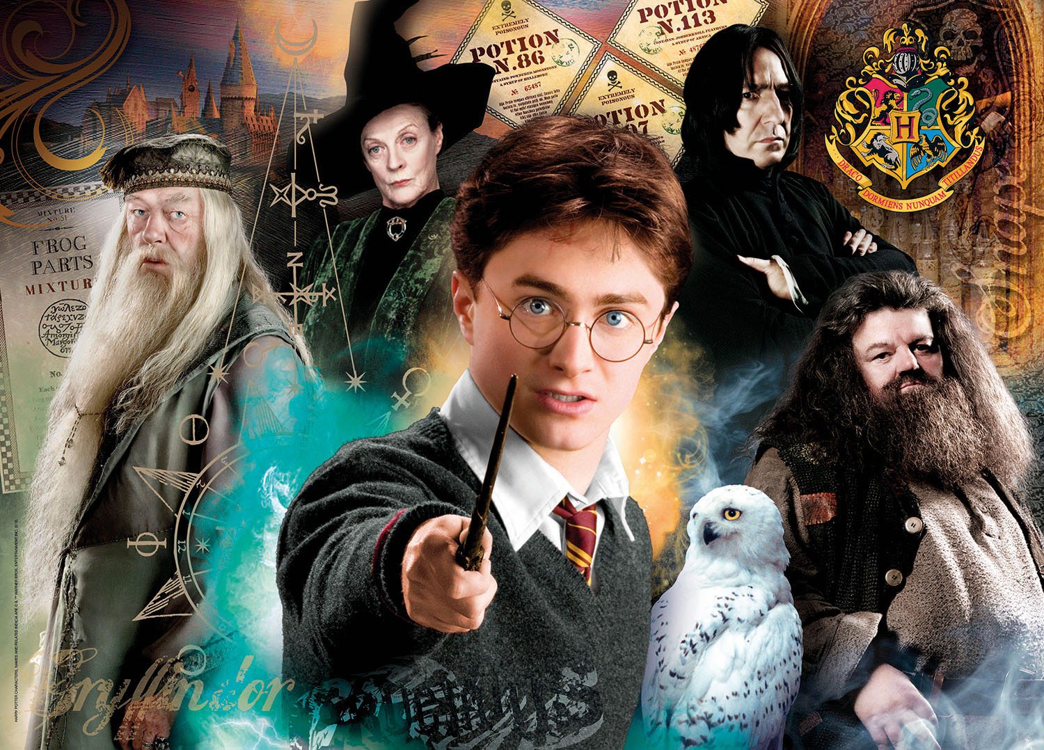 Harry Potter Puzzle Harry at Hogwarts (500 Teile)