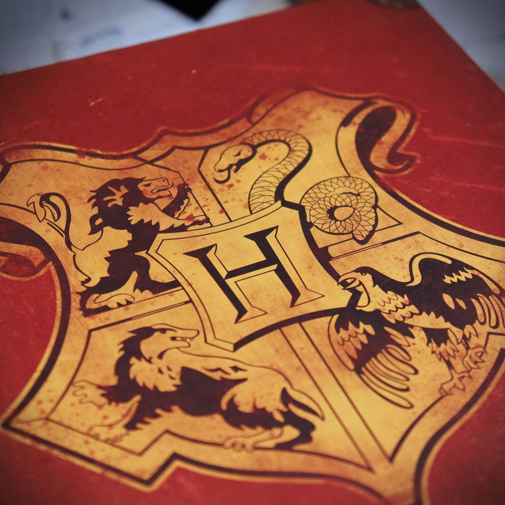 Harry Potter Collector Geschenkbox Harry Potter's Journey to Hogwarts Collection