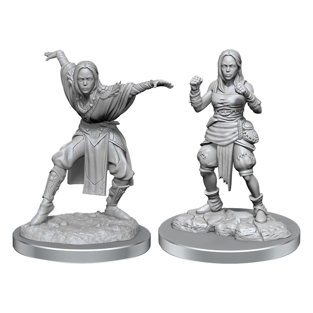 Pathfinder Battles Deep Cuts Miniaturen unbemalt 2er-Packs Half-Elf Monk Female Umkarton (2)